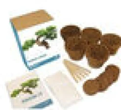 Bonsain kasvatuspaketti