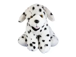 Dalmis-Dani, 40 cm
