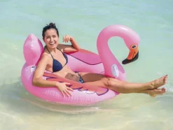 Flamingo Vesisohva