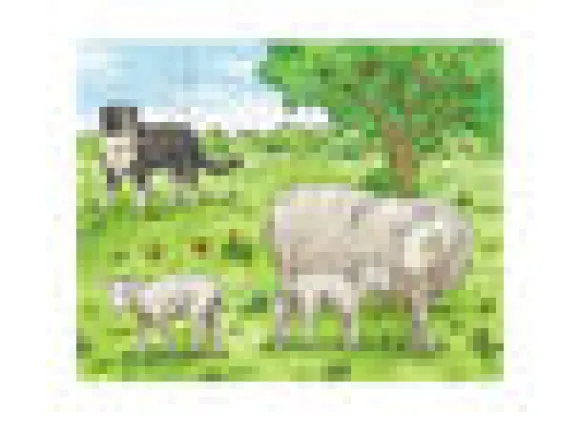 Haba Maatilan eläimet Palapeli