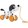 Hape Dalmatiankoira vetolelu