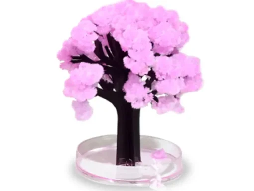 Sakura-puu